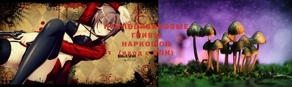 тгк Бронницы